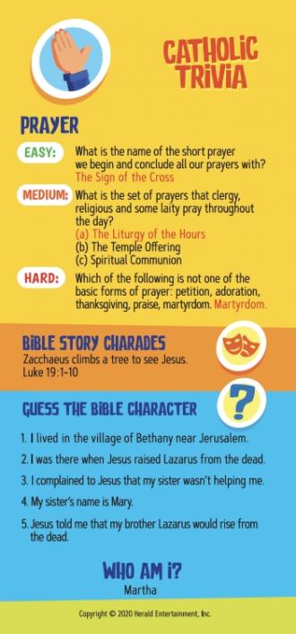 Fun-Fact-Faith Card Games